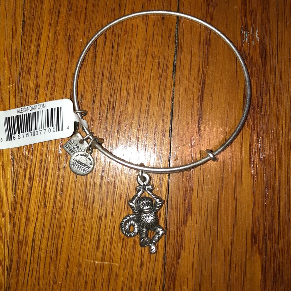 Alex and Ani - Monkey Bracelet